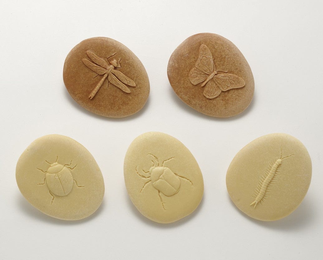 Let’s Investigate – Bugs Yellow Door US LLC Lil Tulips