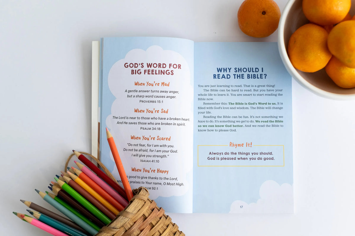 Let's Learn the Bible For Early Readers Barbour Publishing Lil Tulips