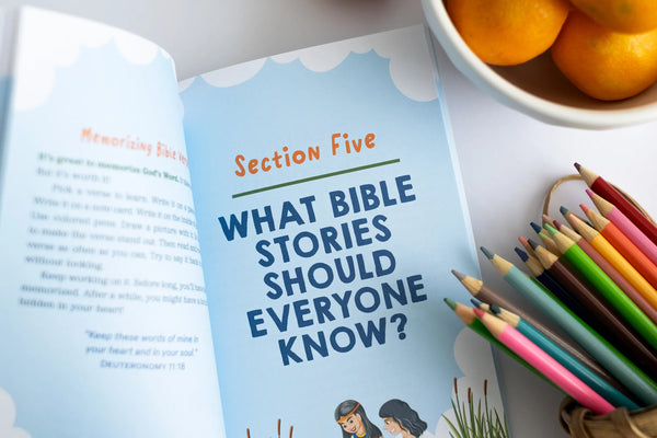 Let's Learn the Bible For Early Readers Barbour Publishing Lil Tulips