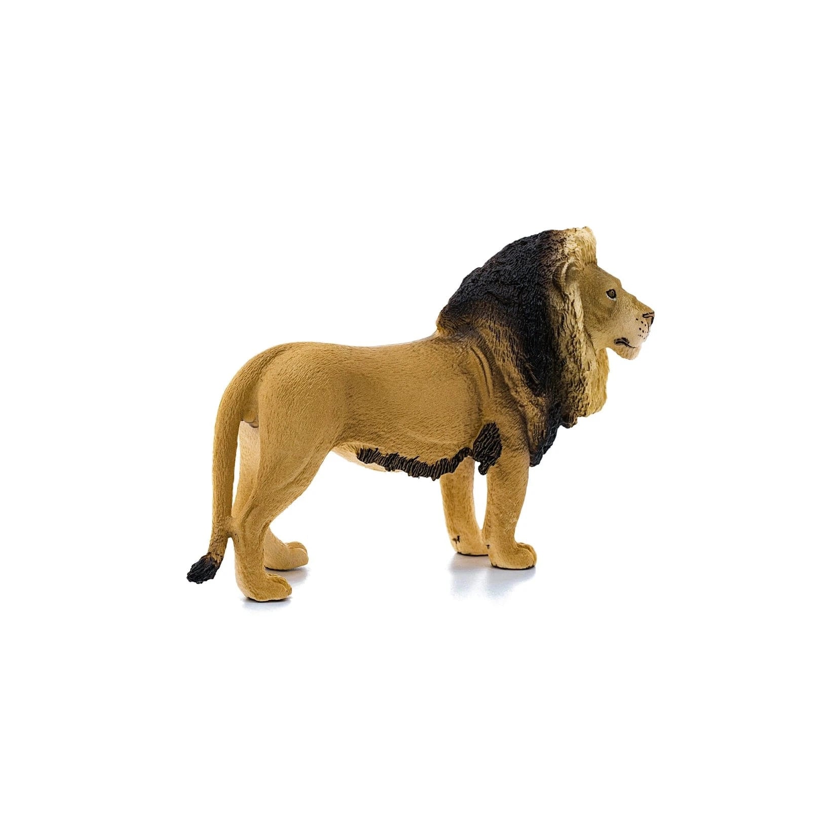 Lion Safari Animal Toy Schleich Lil Tulips
