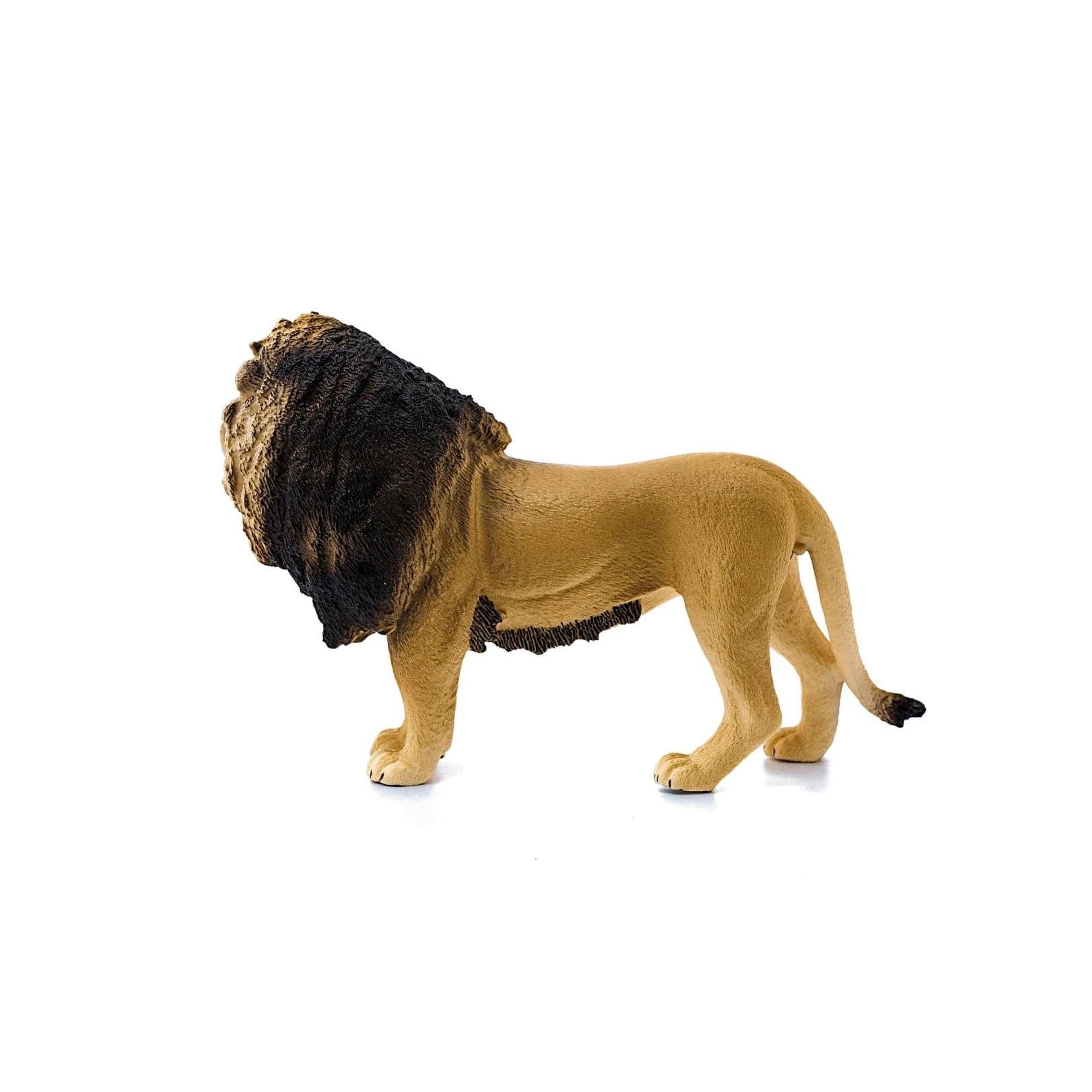 Lion Safari Animal Toy Schleich Lil Tulips