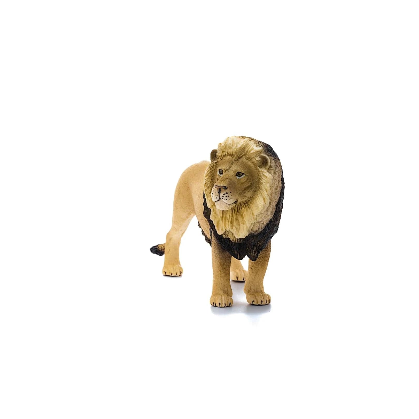 Lion Safari Animal Toy Schleich Lil Tulips