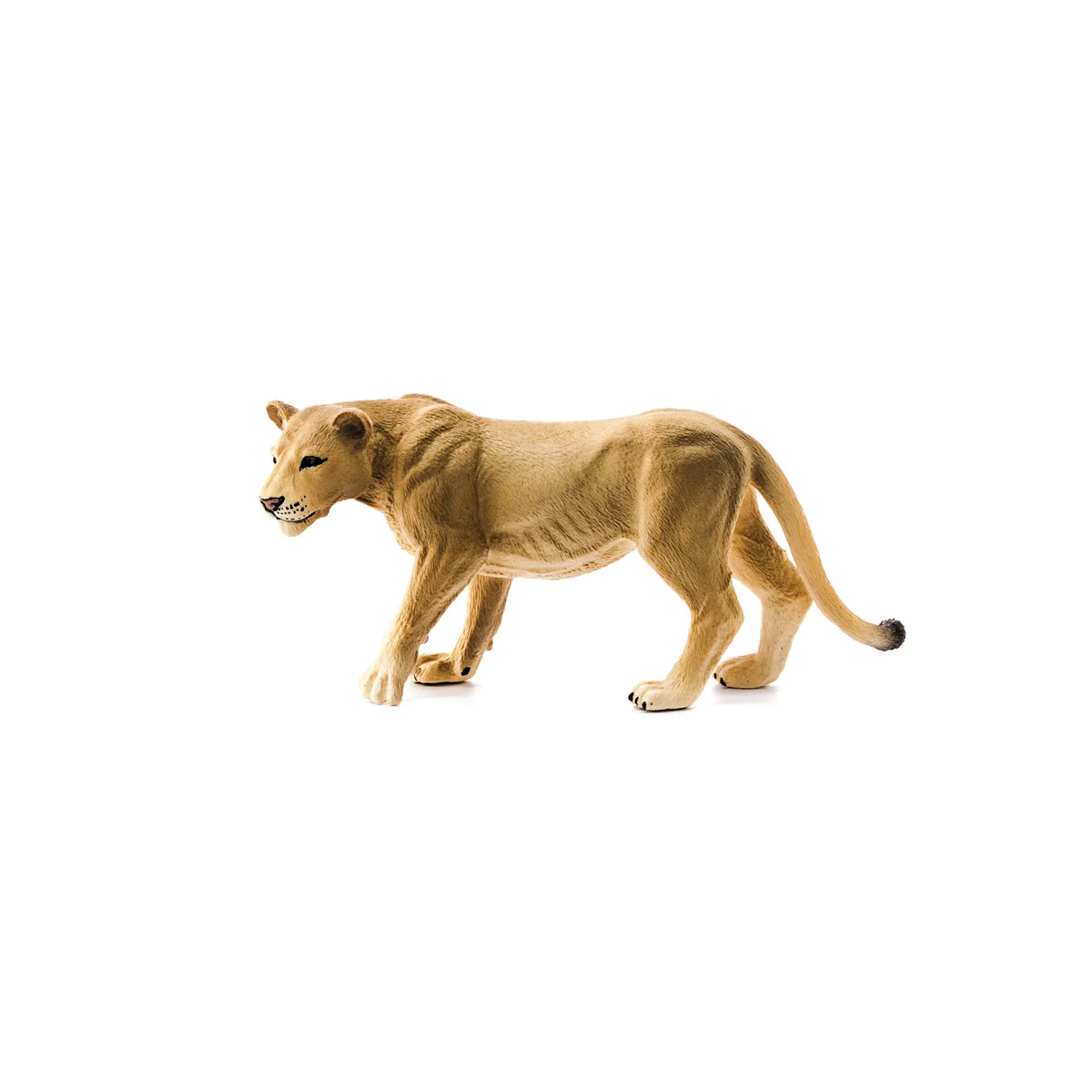 Lioness Safari Animal Toy Schleich Lil Tulips