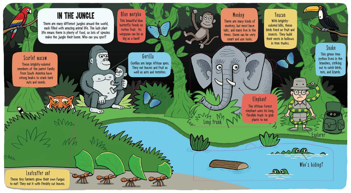 Little Explorers: The Animal World Simon & Schuster Lil Tulips