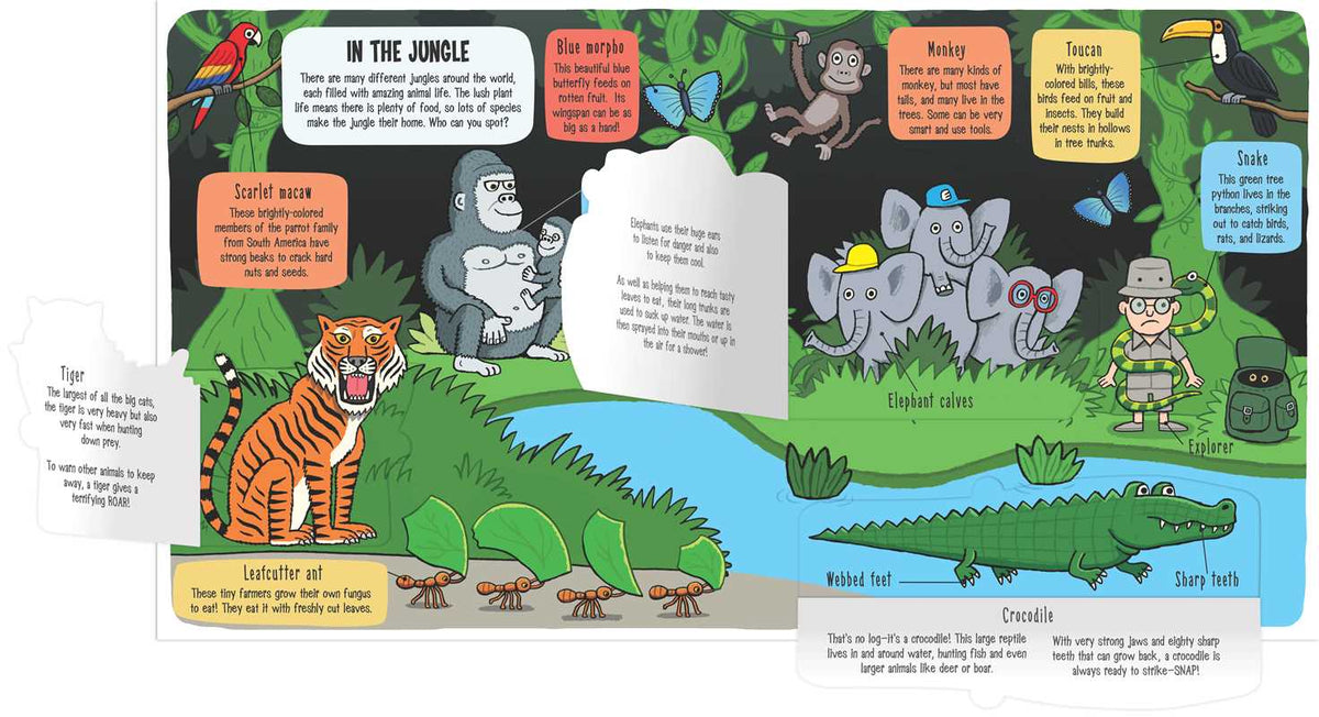 Little Explorers: The Animal World Simon & Schuster Lil Tulips
