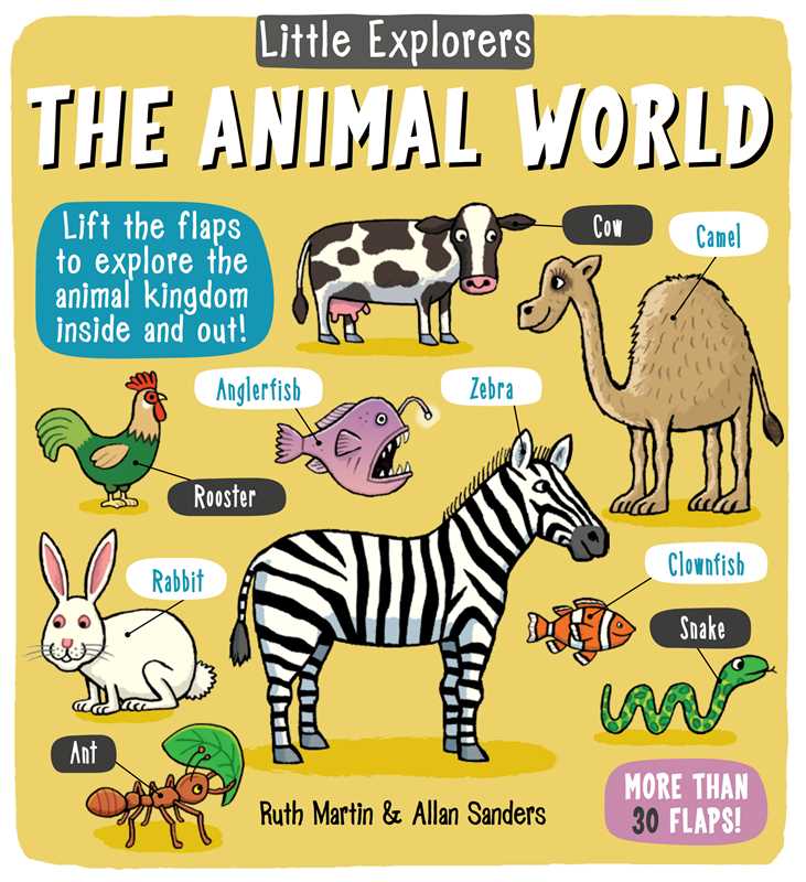 Little Explorers: The Animal World Simon & Schuster Lil Tulips