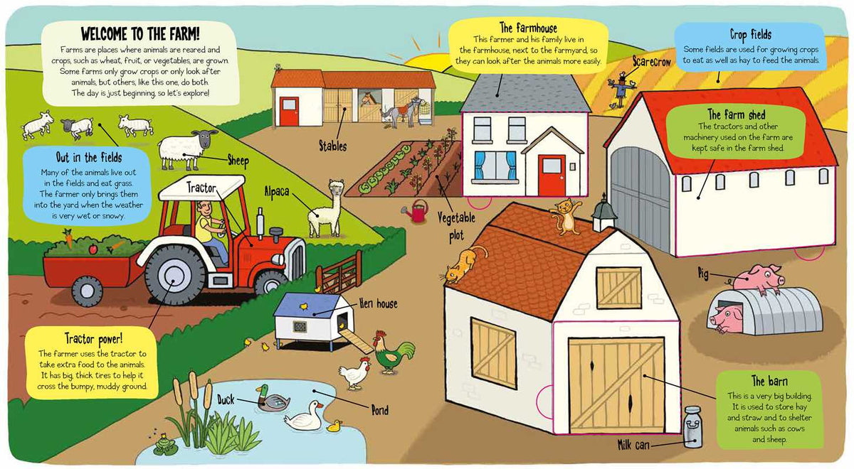Little Explorers: The Farm Simon & Schuster Lil Tulips