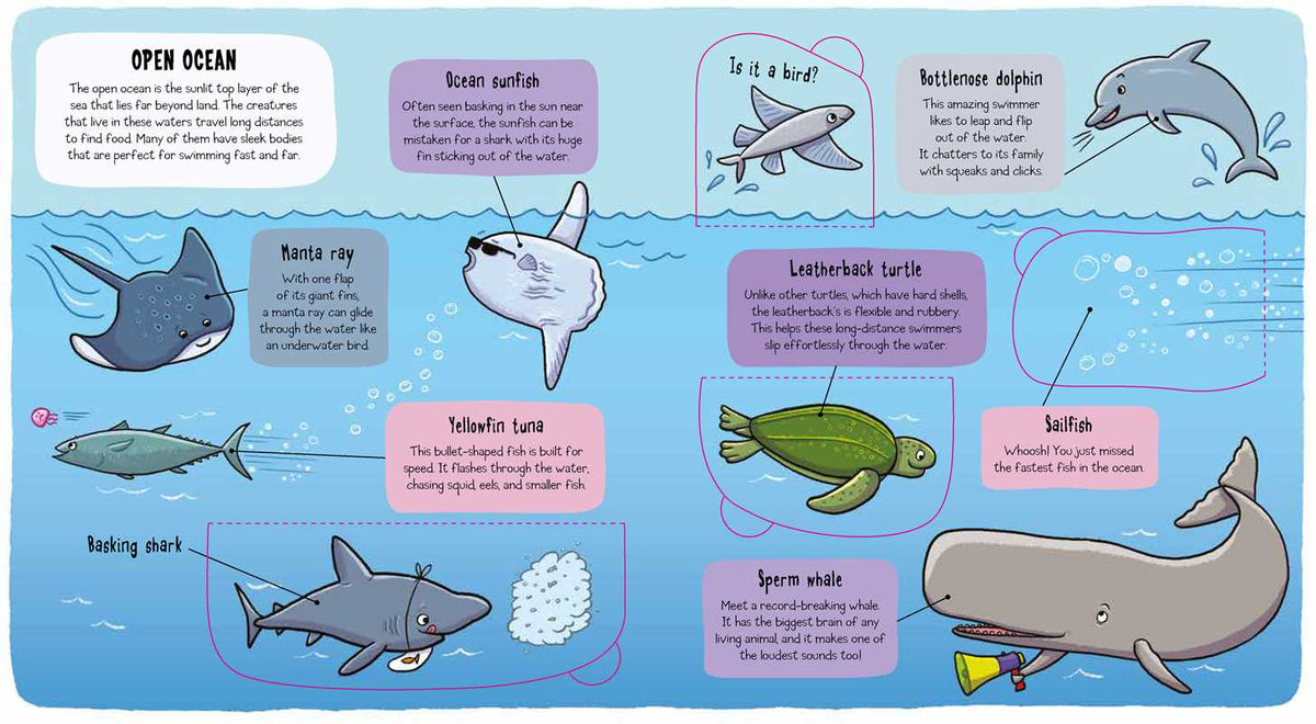 Little Explorers: Under the Sea Simon & Schuster Lil Tulips