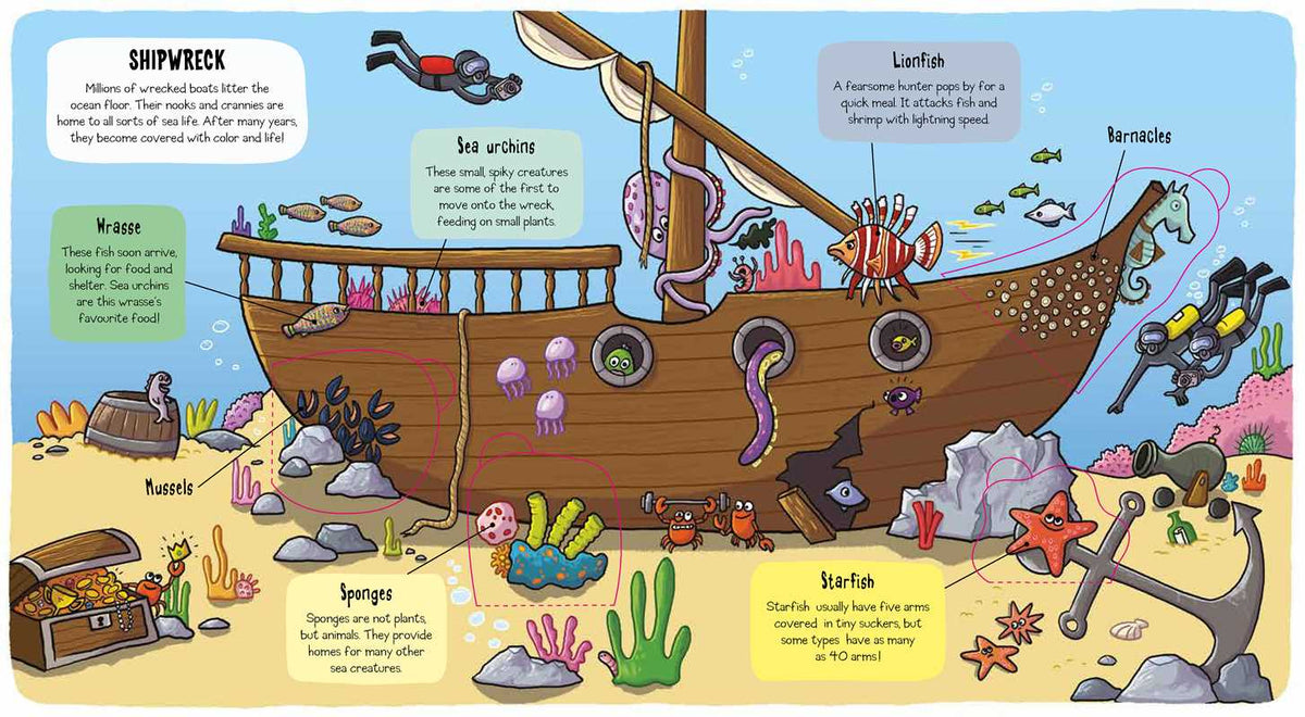 Little Explorers: Under the Sea Simon & Schuster Lil Tulips