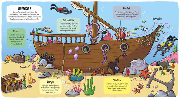 Little Explorers: Under the Sea Simon & Schuster Lil Tulips
