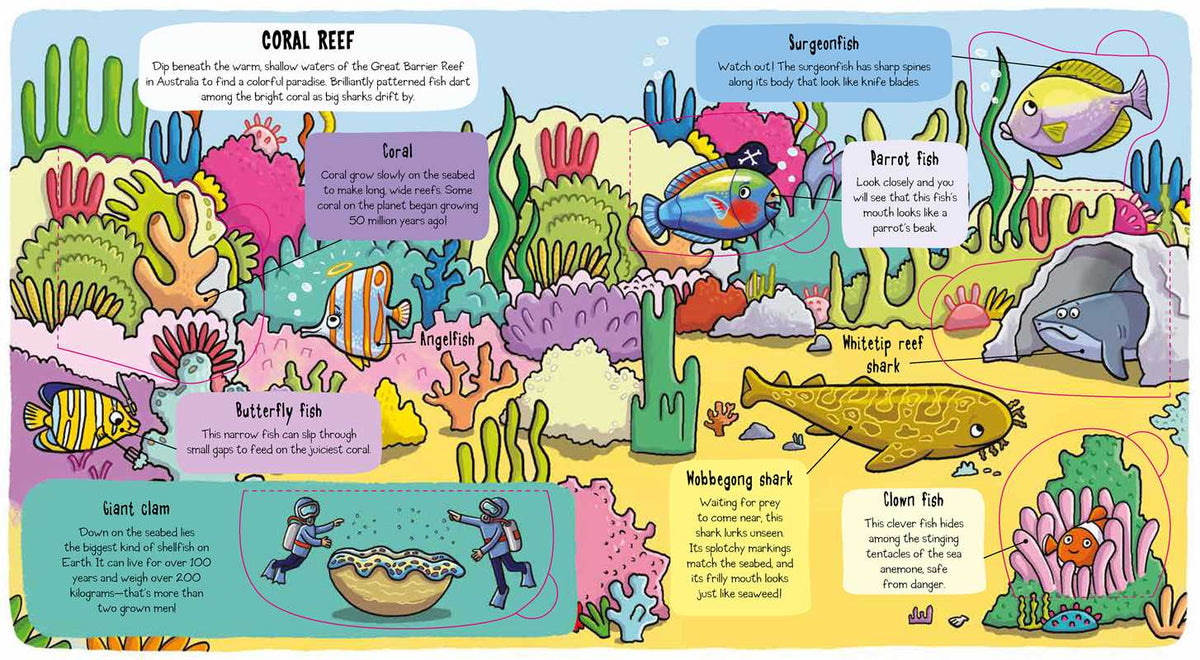 Little Explorers: Under the Sea Simon & Schuster Lil Tulips