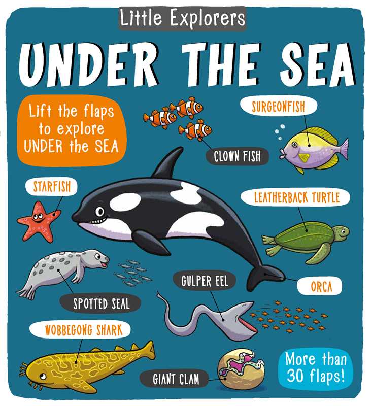 Little Explorers: Under the Sea Simon & Schuster Lil Tulips
