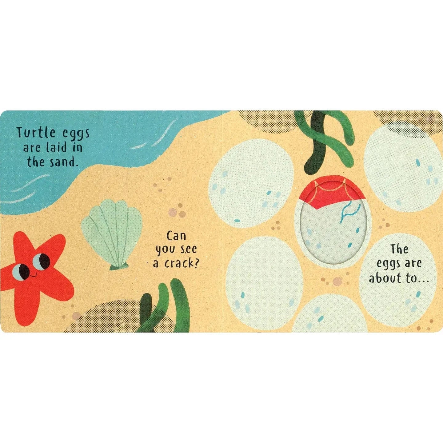 Little Nature: Hatch EDC Publishing Lil Tulips