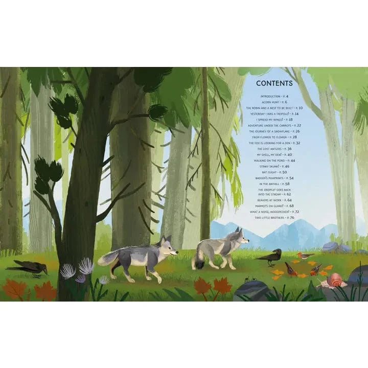 Little Stories from Nature By Altea Villa Union Square & Co. Lil Tulips