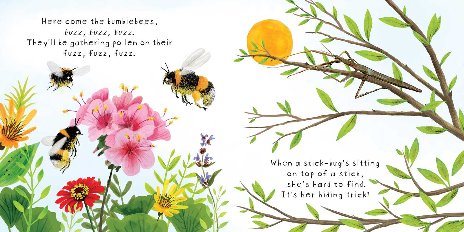 Look! Bugs! Book Simon & Schuster Lil Tulips