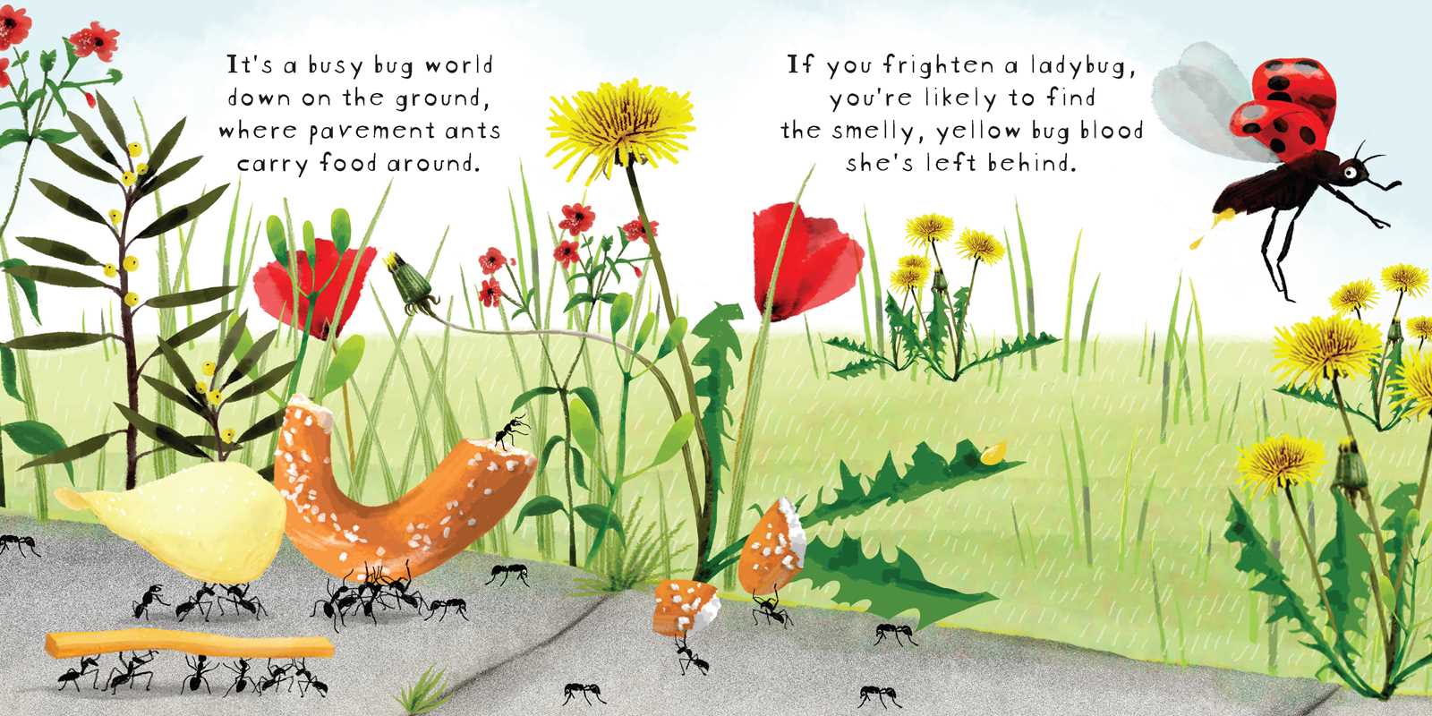 Look! Bugs! Book Simon & Schuster Lil Tulips