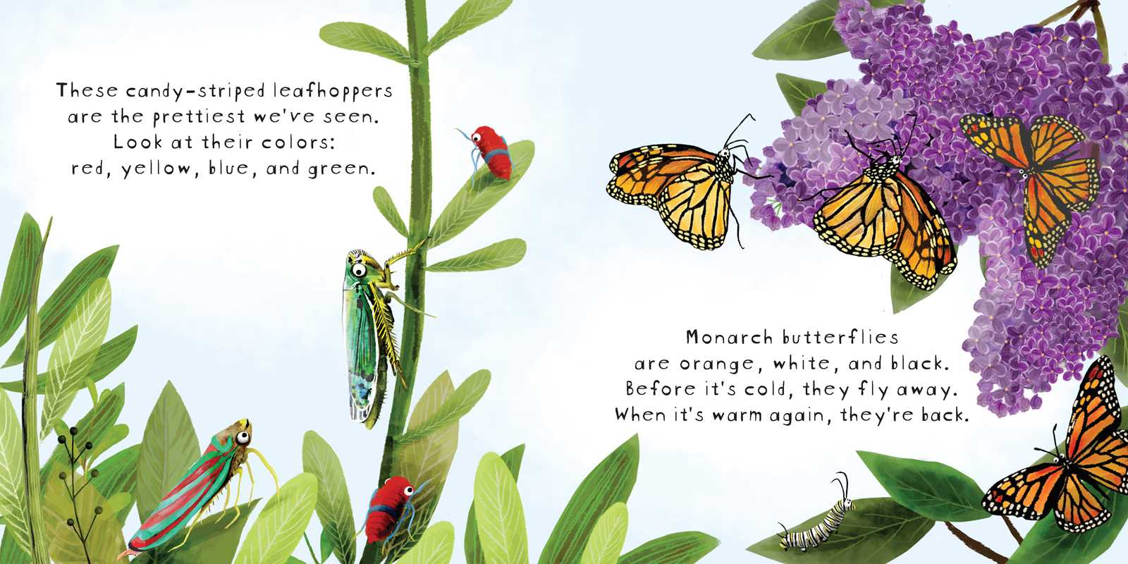 Look! Bugs! Book Simon & Schuster Lil Tulips