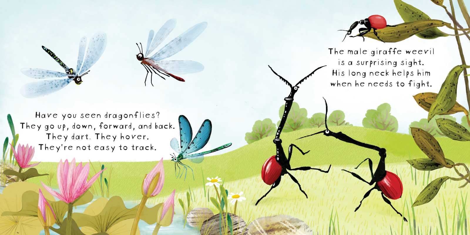 Look! Bugs! Book Simon & Schuster Lil Tulips