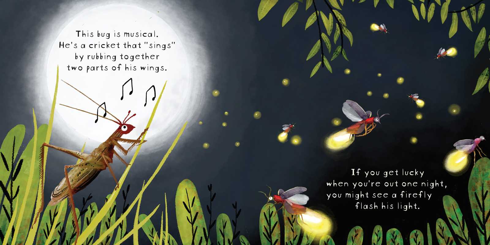 Look! Bugs! Book Simon & Schuster Lil Tulips