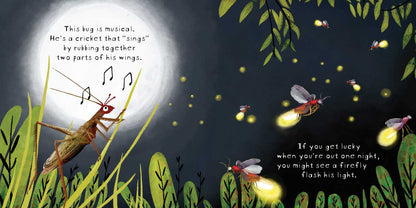 Look! Bugs! Book Simon & Schuster Lil Tulips