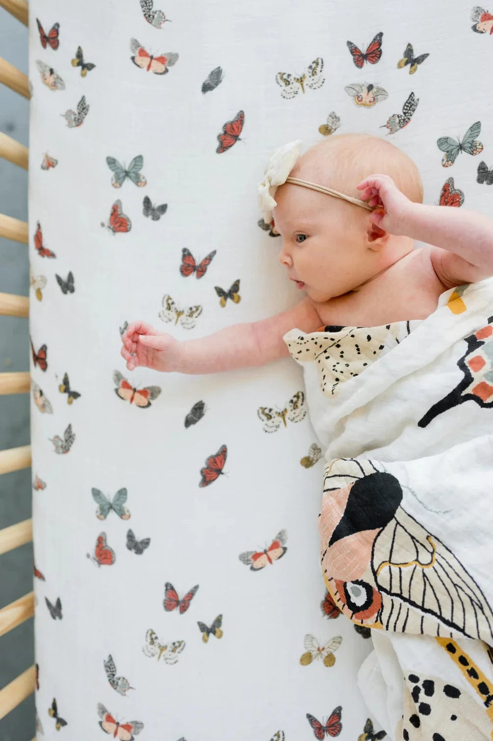 Mini Butterfly Bedding Bundle Clementine Kids Bundles Lil Tulips