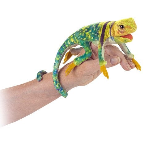 Mini Collared Lizard Finger Puppet Folkmanis Puppets Folkmanis Puppets Lil Tulips