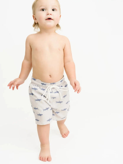 Mini Shark Swim Trunks Little One Shop Lil Tulips