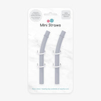 Mini Straw Replacement Pack - Pewter Ezpz Lil Tulips