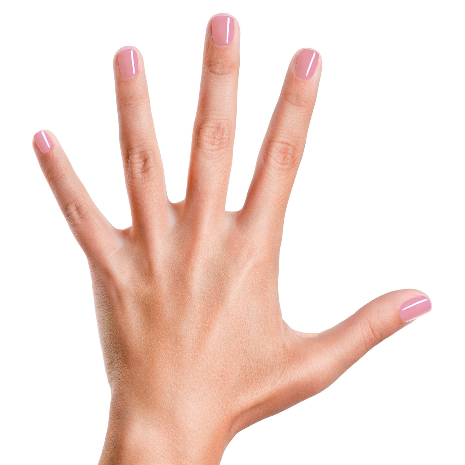 Muddles the Pig Nail Polish Piggy Paint Piggy Paint Lil Tulips