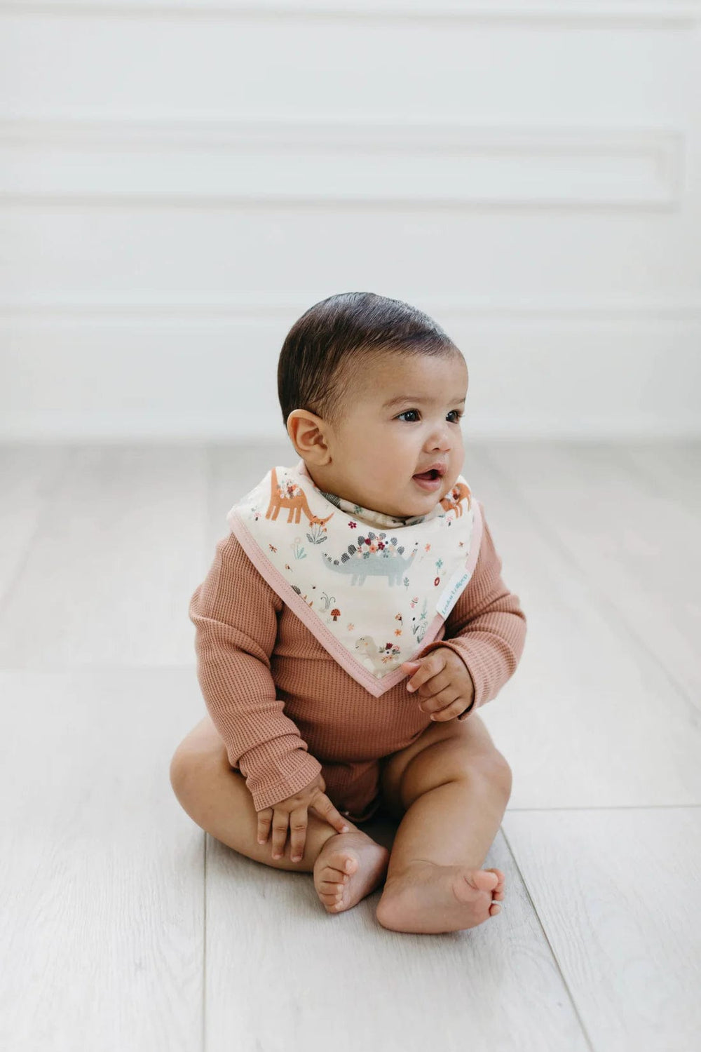 Muslin Bandana Bib Set - Baby Dinomite LouLou Lollipop Lil Tulips