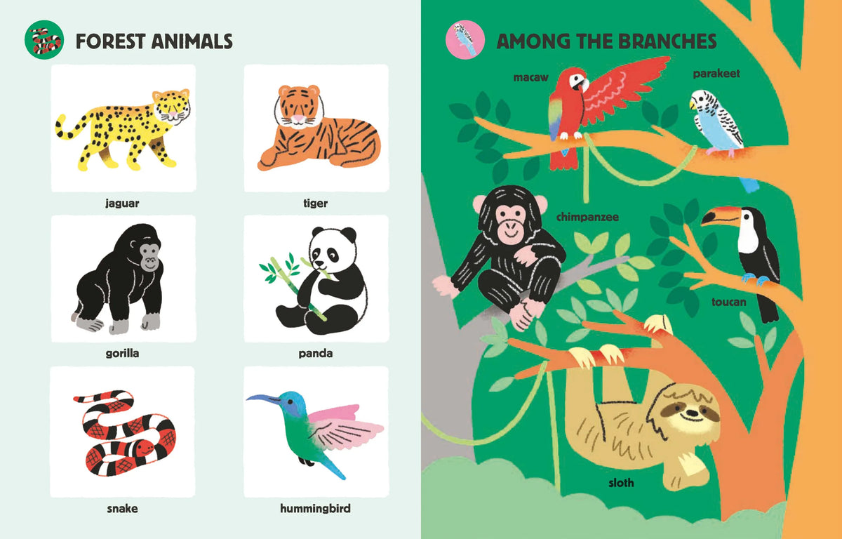 My Big Book of Animal Sounds Chronicle Books Lil Tulips
