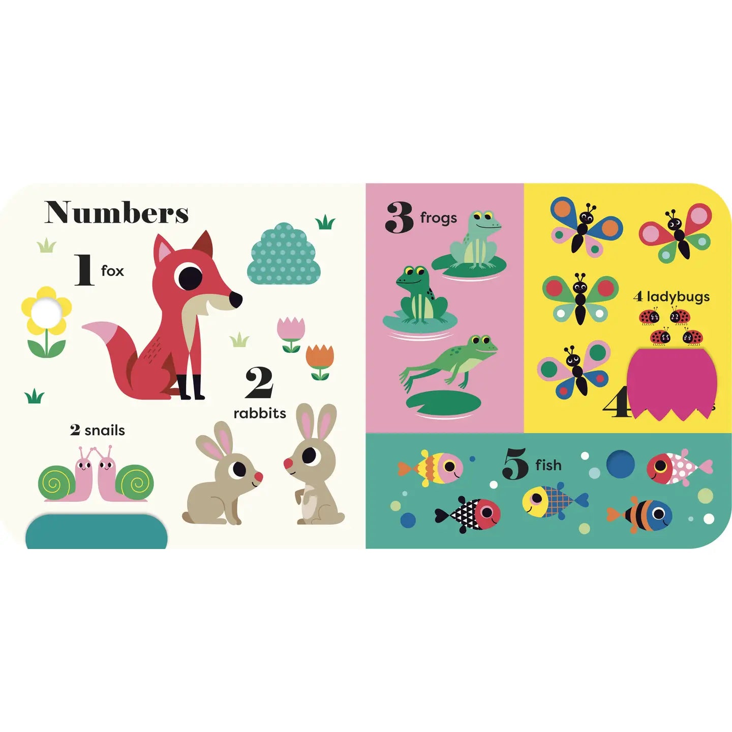 My Big Playbook - Board Book Hachette Lil Tulips