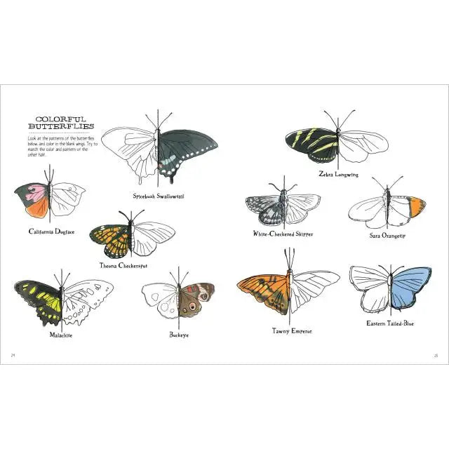 Nature Anatomy Activity Book Hachette Lil Tulips