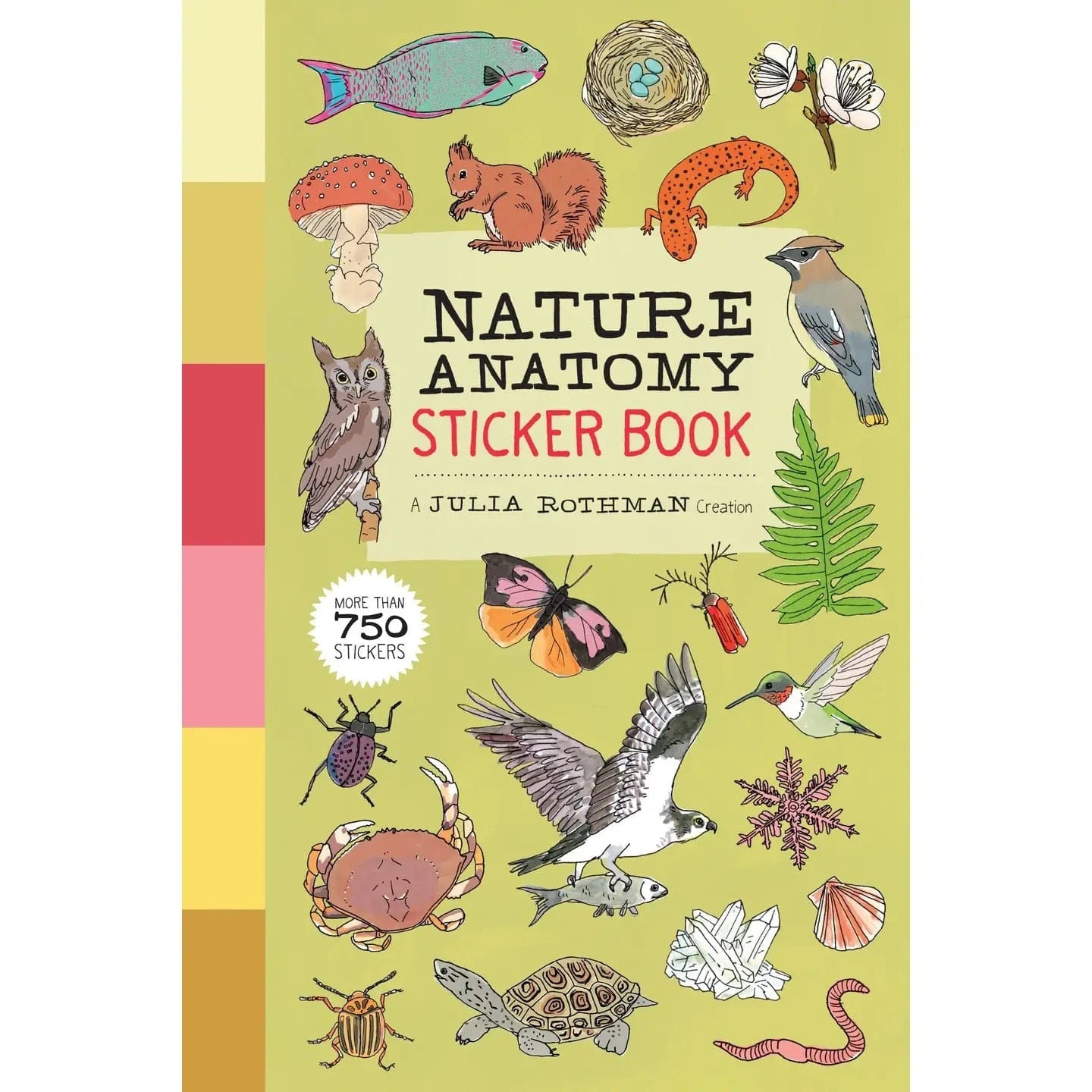 Nature Anatomy Sticker Book Hachette Lil Tulips