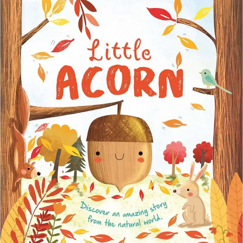 Nature Stories: Little Acorn Simon & Schuster Lil Tulips