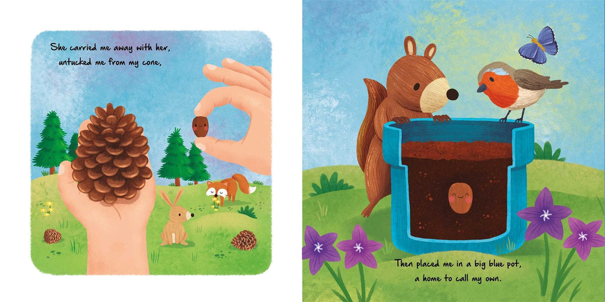 Nature Stories: Little Christmas Tree Simon & Schuster Lil Tulips