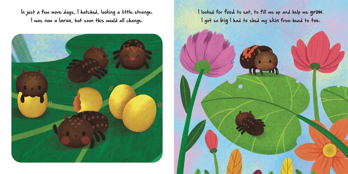 Nature Stories: Little Ladybug - Board Book Simon & Schuster Lil Tulips