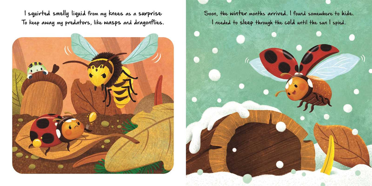 Nature Stories: Little Ladybug - Board Book Simon & Schuster Lil Tulips