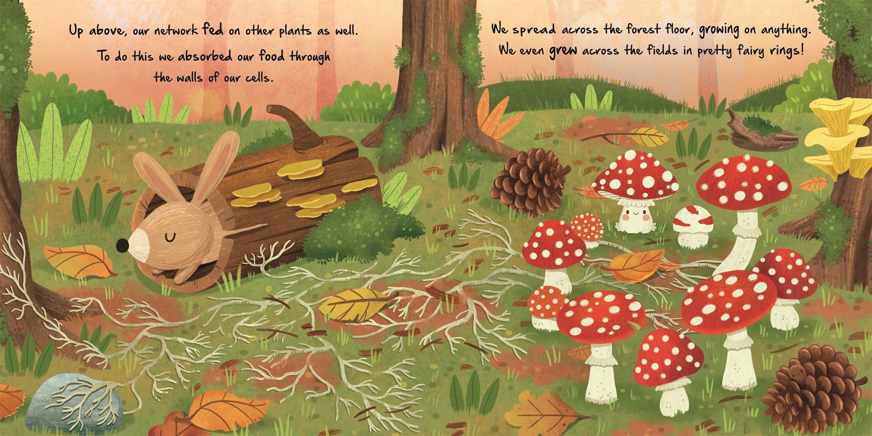 Nature Stories: Little Mushroom - Board Book Simon & Schuster Lil Tulips