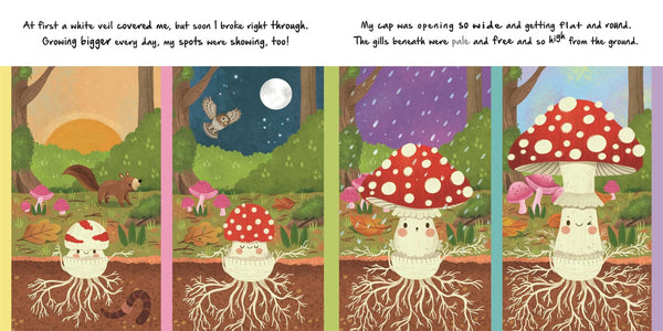 Nature Stories: Little Mushroom - Board Book Simon & Schuster Lil Tulips