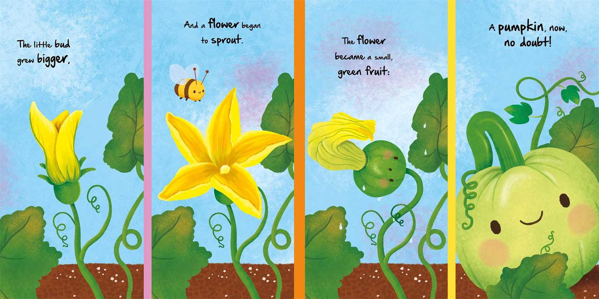 Nature Stories: Little Pumpkin - Board Book Simon & Schuster Lil Tulips