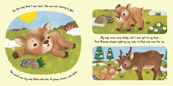 Nature Stories: Little Reindeer - Board Book Simon & Schuster Lil Tulips