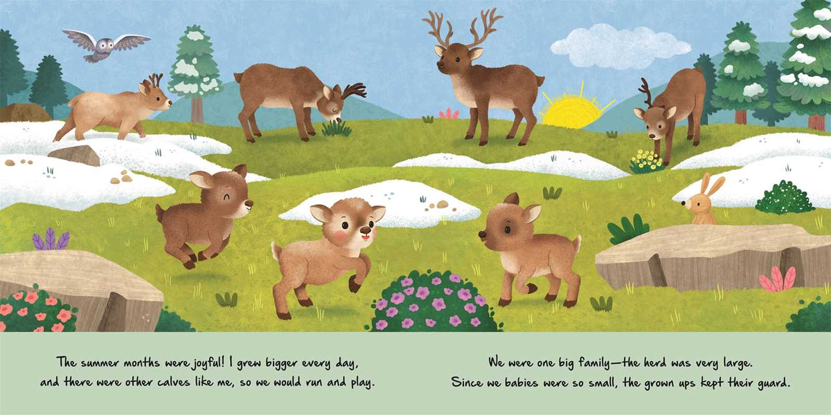 Nature Stories: Little Reindeer - Board Book Simon & Schuster Lil Tulips