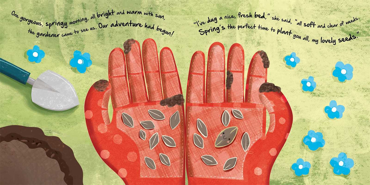 Nature Stories: Little Sunflower - Board Book Simon & Schuster Lil Tulips