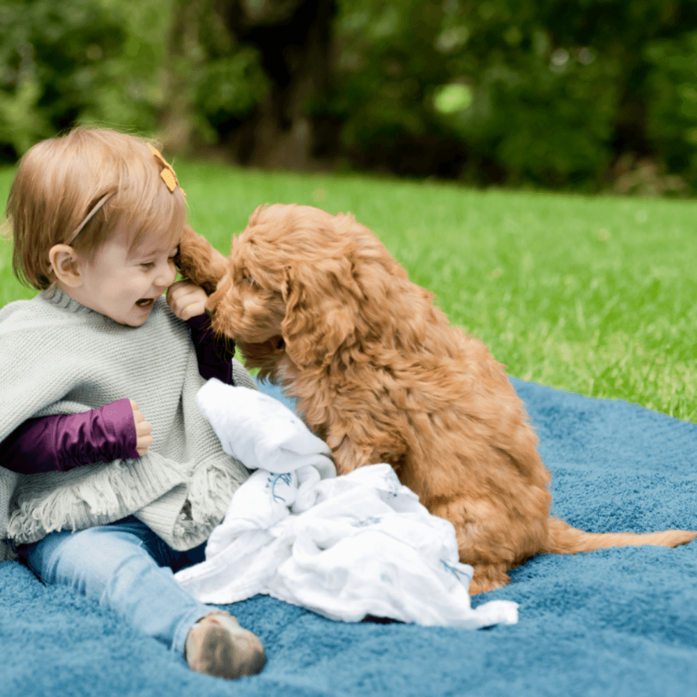 Nautical Blue Bamboni Blanket Saranoni Lil Tulips