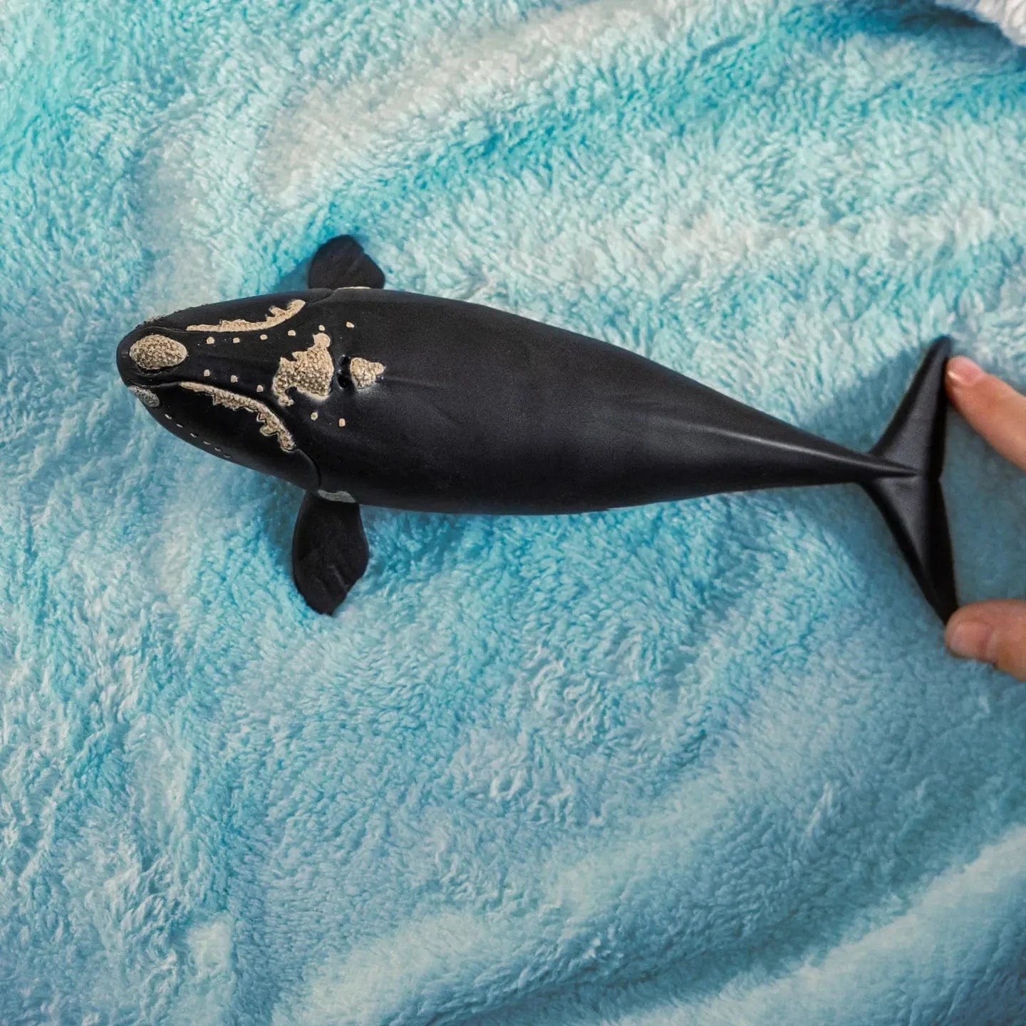 North Atlantic Right Whale Ocean Animal Toy Schleich Lil Tulips