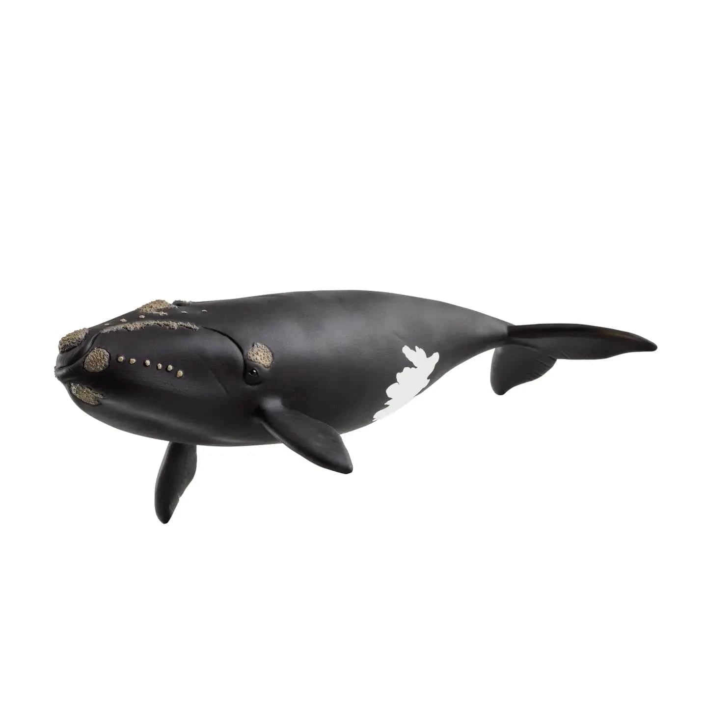 North Atlantic Right Whale Ocean Animal Toy Schleich Lil Tulips