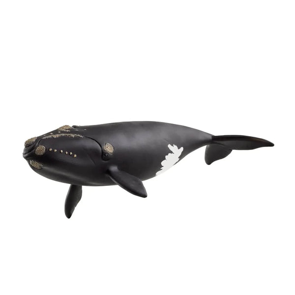 North Atlantic Right Whale Ocean Animal Toy Schleich Lil Tulips