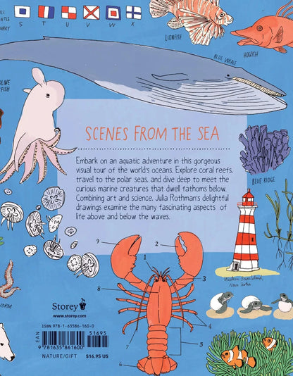 Ocean Anatomy Book Hachette Lil Tulips