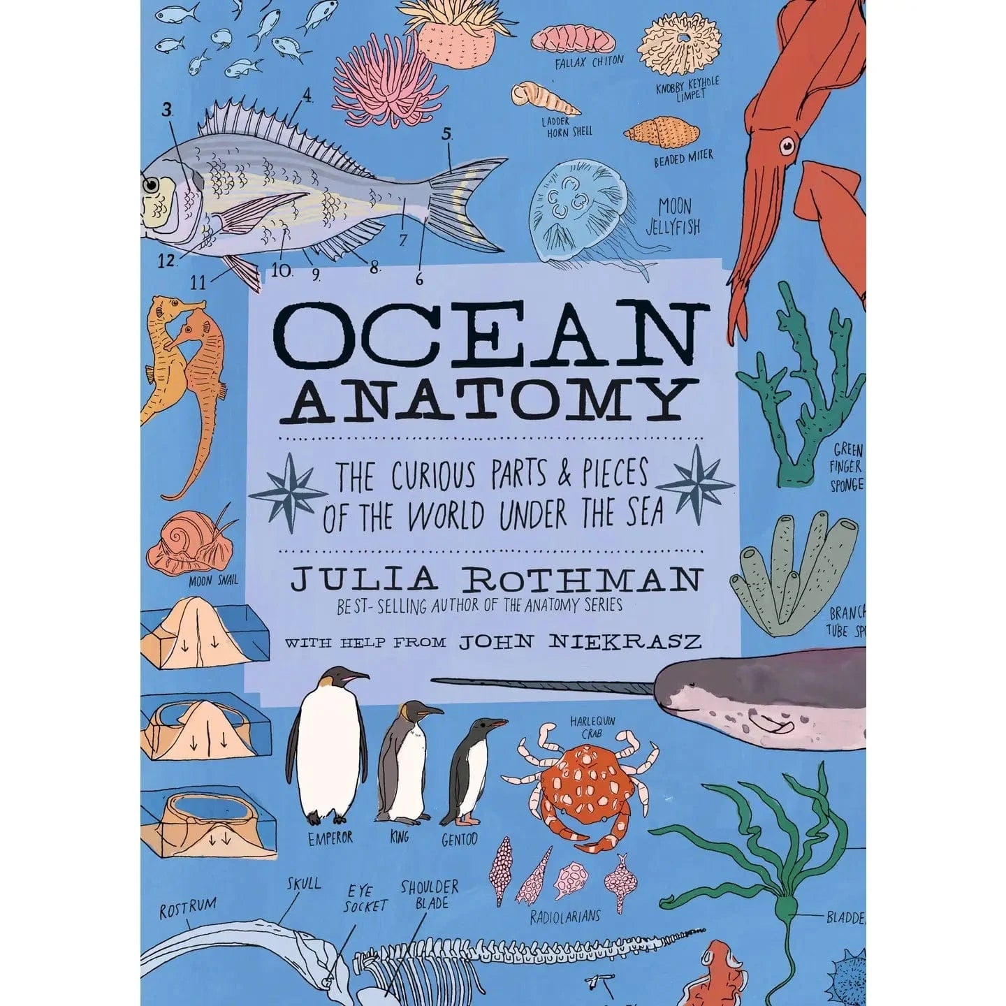 Ocean Anatomy Book Hachette Lil Tulips